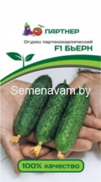 Огурец Бьёрн F1