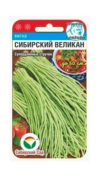 Вигна Сибирский великан
