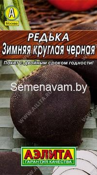 Редька зимняя Круглая черная