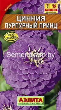 Цинния Пурпурный принц
