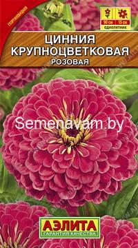 Цинния Крупноцветковая розовая