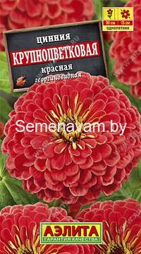 Цинния Крупноцветковая красная