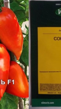 Томат Корнабель F1 (россыпь)