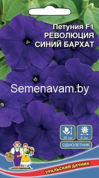 Петуния РЕВОЛЮЦИЯ СИНИЙ БАРХАТ F1