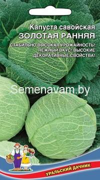 Капуста савойская ЗОЛОТАЯ РАННЯЯ