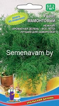 Укроп МАМОНТОВЫЙ
