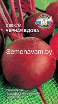 Свекла ЧЕРНАЯ ВДОВА