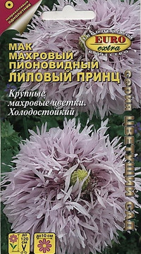 Мак (папавер) Лиловый принц