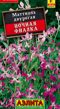Маттиола двурогая ( Ночная фиалка )