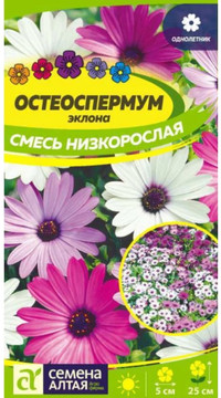 Остеоспермум Смесь низкорослая