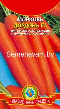 Морковь 