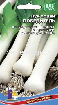 Лук порей Победитель