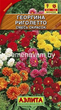 Георгина Риголетто, смесь