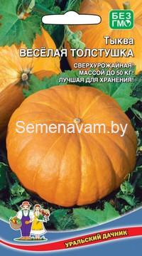 Тыква ВЕСЁЛАЯ ТОЛСТУШКА