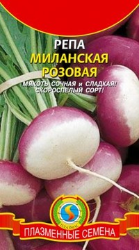 Репа МИЛАНСКАЯ РОЗОВАЯ