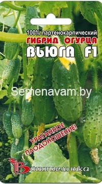 Огурец Вьюга F1