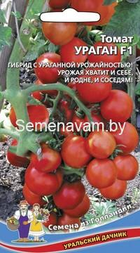 Томат УРАГАН F1
