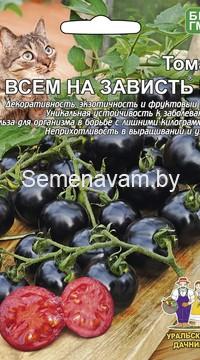 Томат ВСЕМ НА ЗАВИСТЬ F1