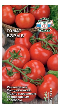 Томат Взрыв