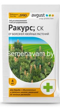 Ракурс