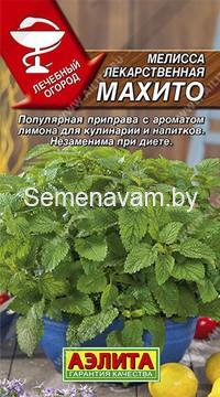 Мелисса лекарственная Махито