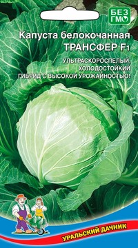 Капуста белокочанная Трансфер F1