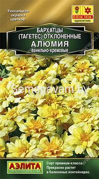 Бархатцы Алюмия ванильно-кремовые