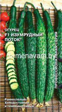 Огурец ИЗУМРУДНЫЙ ПОТОК F1