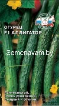 Огурец  АЛЛИГАТОР F1