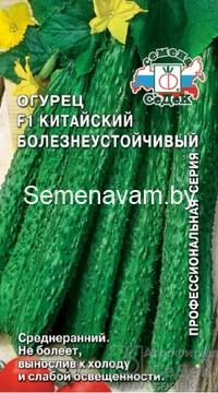 Огурец КИТАЙСКИЙ БОЛЕЗНЕУСТОЙЧИВЫЙ F1