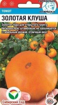 Томат Золотая клуша