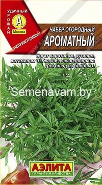 Чабер огородный Ароматный