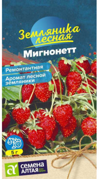Земляника лесная Мигнонетт