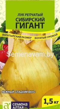Лук Сибирский Гигант