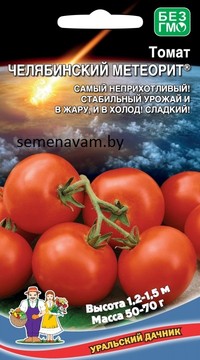 Томат Челябинский Метеорит F1