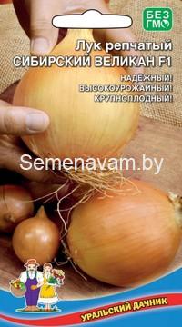 ЛУК РЕПЧАТЫЙ СИБИРСКИЙ ВЕЛИКАН F1