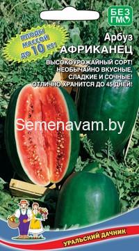 АРБУЗ АФРИКАНЕЦ