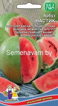 Арбуз НАСТИК