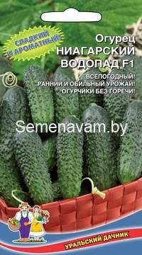 Огурец НИАГАРСКИЙ ВОДОПАД F1