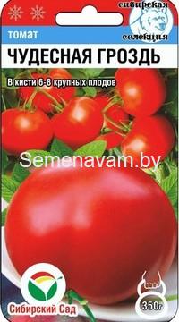 Томат Чудесная гроздь