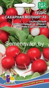 Редис САХАРНАЯ МОЛНИЯ F1