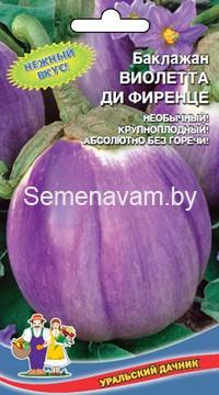 Баклажан Виолетта ди Фиренце