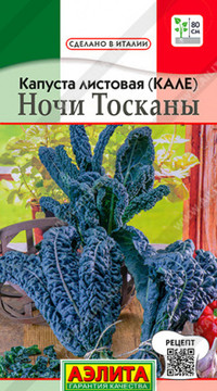 Капуста листовая Ночи Тосканы