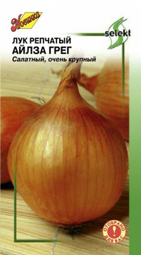 Лук репчатый АЙЛСА ГРЕГ