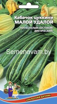 Кабачок Малой-Удалой - цуккини
