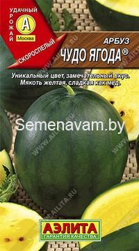 Арбуз Чудо ягода