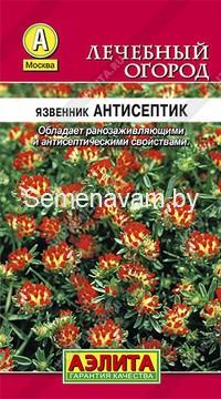 Язвенник Антисептик