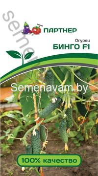 ОГУРЕЦ БИНГО F1
