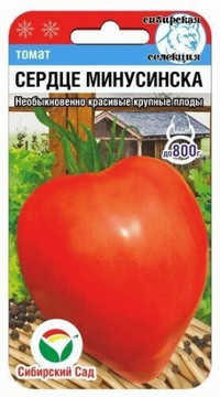 Томат Сердце Минусинска