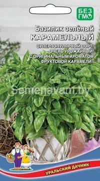 Базилик зелёный КАРАМЕЛЬНЫЙ